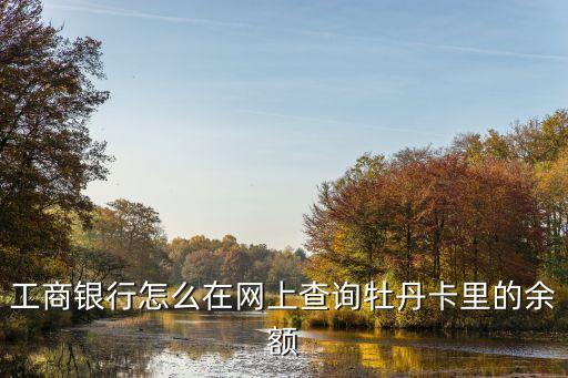 怎么查牡丹卡剩余額度，牡丹交通信用卡余額怎么查