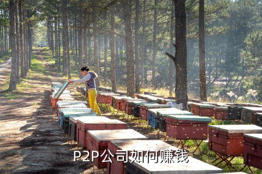 P2P公司如何賺錢
