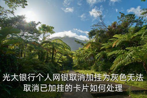 賬戶(hù)已加掛怎么用，注冊(cè)新的銀行卡上邊顯示該卡已經(jīng)加掛是什么意思