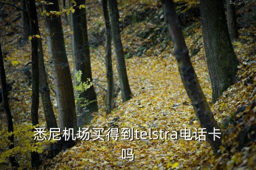 悉尼機場買得到telstra電話卡嗎