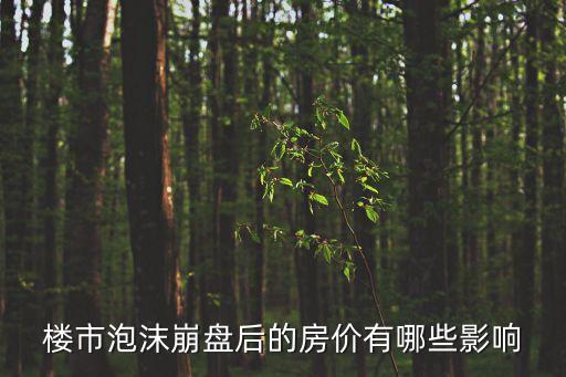 樓市泡沫崩盤后的房價(jià)有哪些影響