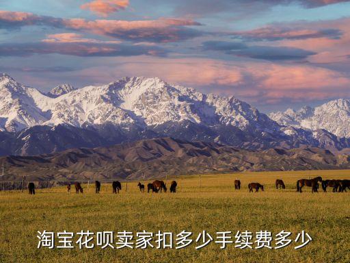 賣家螞蟻花唄怎么收費(fèi)，花唄 賣家要手續(xù)費(fèi)嗎
