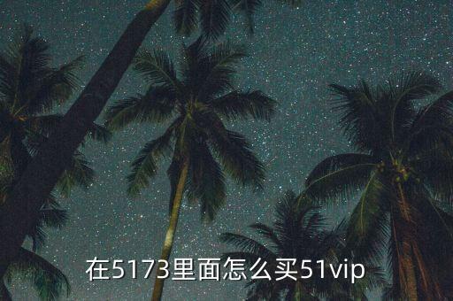 怎么購買51人品寶，在5173里面怎么買51vip