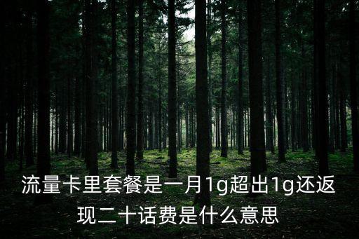 廣發(fā)返現(xiàn)20怎么辦，廣發(fā)粵通卡加油返現(xiàn)是主卡還是副卡啊