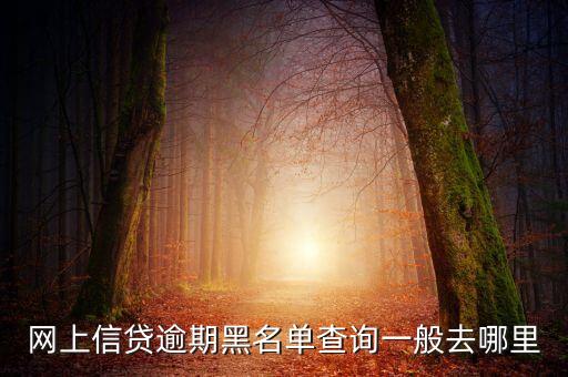 怎么查被網(wǎng)絡(luò)小貸拉黑，用手機(jī)怎么檢測(cè)自己是否在網(wǎng)貸黑名單里