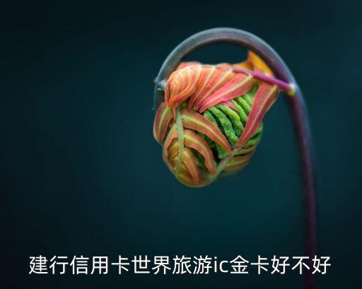 中國建設(shè)旅游信用卡金卡怎么樣，建行信用卡世界旅游ic金卡好不好