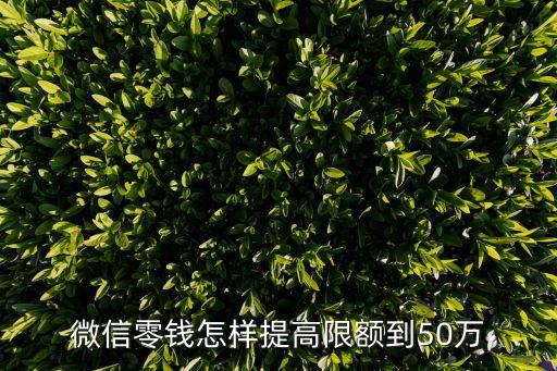 微信零錢怎樣提高限額到50萬