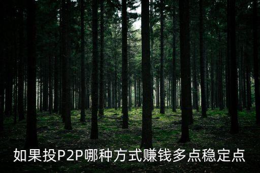 如果投P2P哪種方式賺錢多點穩(wěn)定點