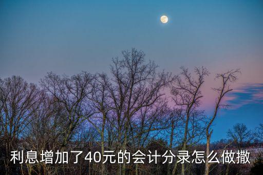 利息增加了40元的會計分錄怎么做撒