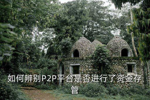 如何辨別P2P平臺是否進(jìn)行了資金存管