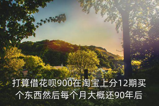 打算借花唄900在淘寶上分12期買個東西然后每個月大概還90年后