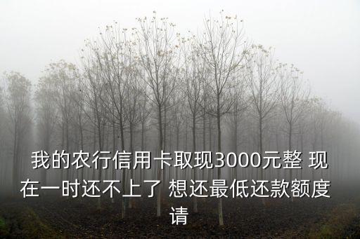 我的農(nóng)行信用卡取現(xiàn)3000元整 現(xiàn)在一時還不上了 想還最低還款額度 請