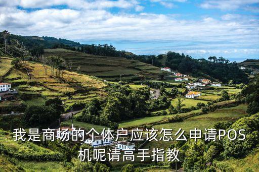我是商場的個體戶應(yīng)該怎么申請POS機呢請高手指教