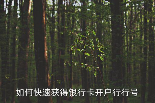 如何快速獲得銀行卡開戶行行號