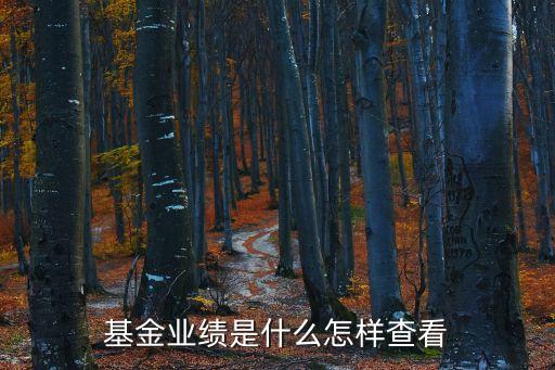 基金業(yè)績是什么怎樣查看