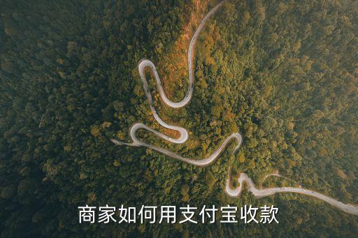 商家如何用支付寶收款