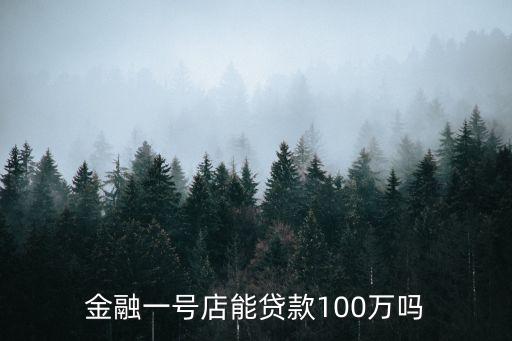 金融一號店能貸款100萬嗎