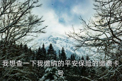 一賬通卡卡號怎么查，我想查一下我繳納的平安保險的繳費卡號