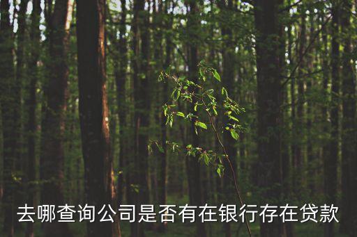 去哪查詢公司是否有在銀行存在貸款