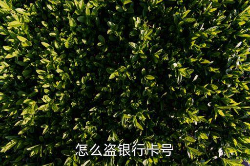 怎么盜銀行卡號
