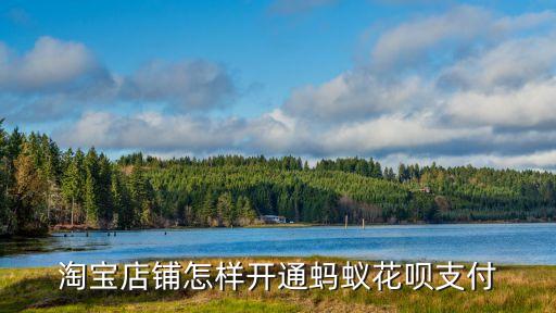 淘寶店鋪怎樣開通螞蟻花唄支付