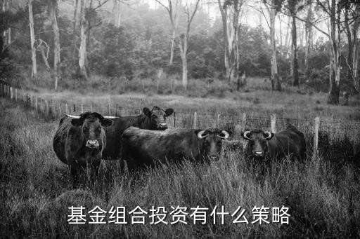 基金投資怎么組合，基金組合投資有什么策略