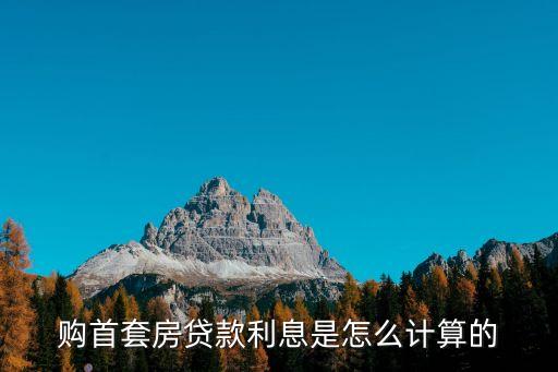 首套房房貸怎么計(jì)算器，買房貸款怎么算呀