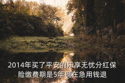 2014年買了平安的樂享無憂分紅保險(xiǎn)繳費(fèi)期是5年現(xiàn)在急用錢退
