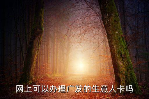 網(wǎng)上可以辦理廣發(fā)的生意人卡嗎