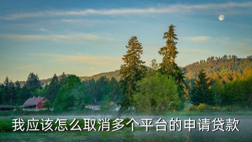 我應(yīng)該怎么取消多個(gè)平臺(tái)的申請(qǐng)貸款
