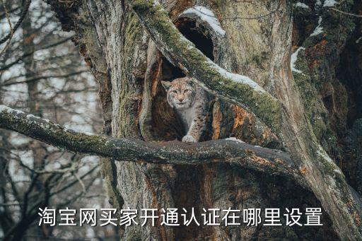 淘寶網買家開通認證在哪里設置