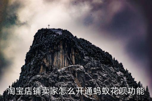 淘寶店鋪賣家怎么開通螞蟻花唄功能