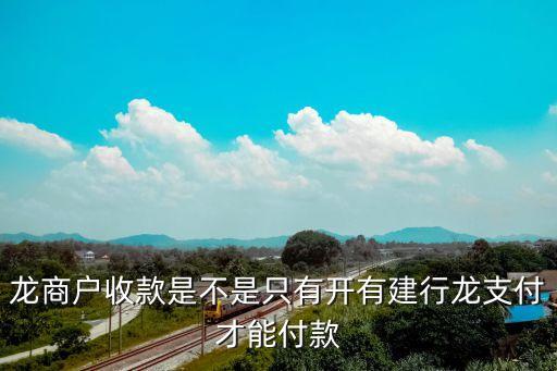 龍商戶收款是不是只有開(kāi)有建行龍支付才能付款