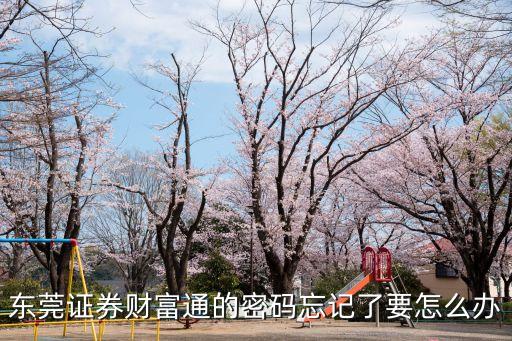 東莞證券怎么找回密碼，東莞證券財富通的密碼忘記了要怎么辦