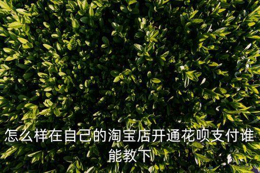 淘寶店怎么支持花唄支付，淘寶店鋪怎樣開通螞蟻花唄支付