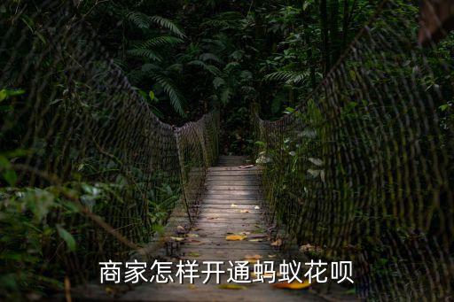 商家怎樣開通螞蟻花唄