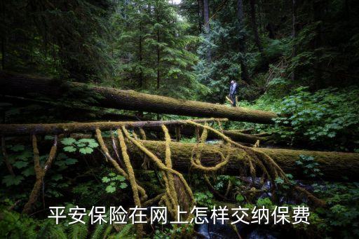 平安保險在網上怎樣交納保費