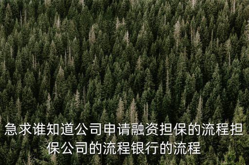 貸款怎么擔(dān)保公司，銀行貸款擔(dān)保公司擔(dān)保的流程是什么