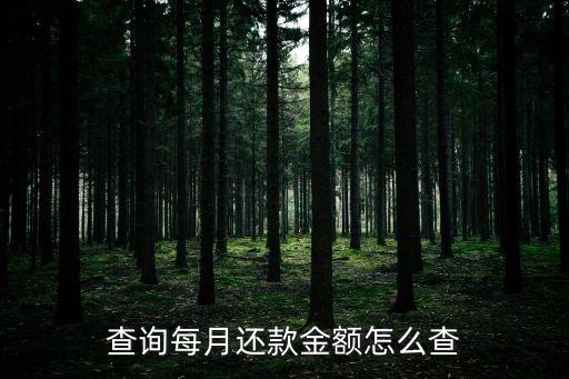 查詢每月還款金額怎么查