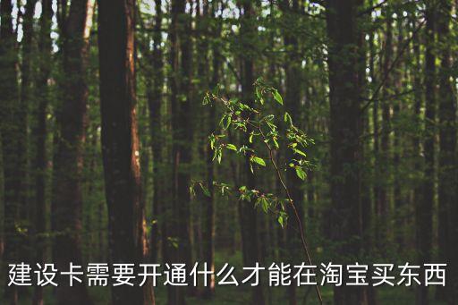 建設(shè)卡需要開通什么才能在淘寶買東西