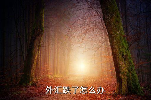 外匯跌了怎么辦