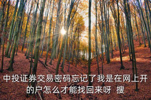 掌中投怎么找回密碼，中投證券r手機炒股軟件登陸密碼忘了怎么找回
