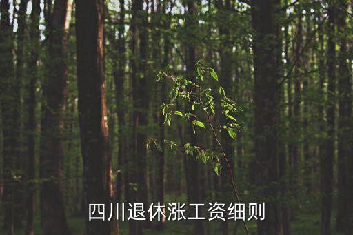 四川今年養(yǎng)老金怎么漲，四川退休養(yǎng)老金上調什么拿到手