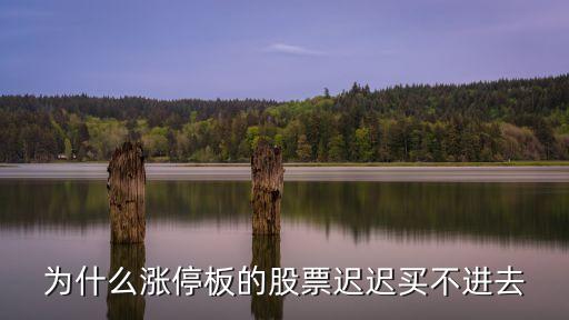 漲停股票怎么買不了，為什么漲停板的股票遲遲買不進去