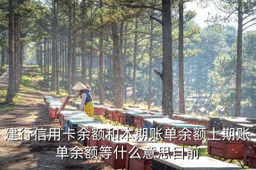 上期帳單余額怎么用，郵政信用卡里上期賬單余額與最低還款額的差額滿800元是怎么意思