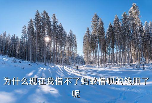 馬云借唄怎么不能借，為什么現(xiàn)在我借不了螞蟻借唄的錢(qián)用了呢