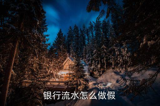 銀行流水怎么做假