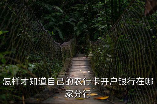 怎么查農(nóng)行卡的支行的，開戶銀行查詢