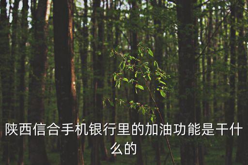 陜西信合手機(jī)銀行里的加油功能是干什么的