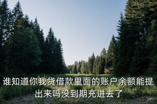 誰知道你我貸借款里面的賬戶余額能提出來嗎沒到期充進(jìn)去了